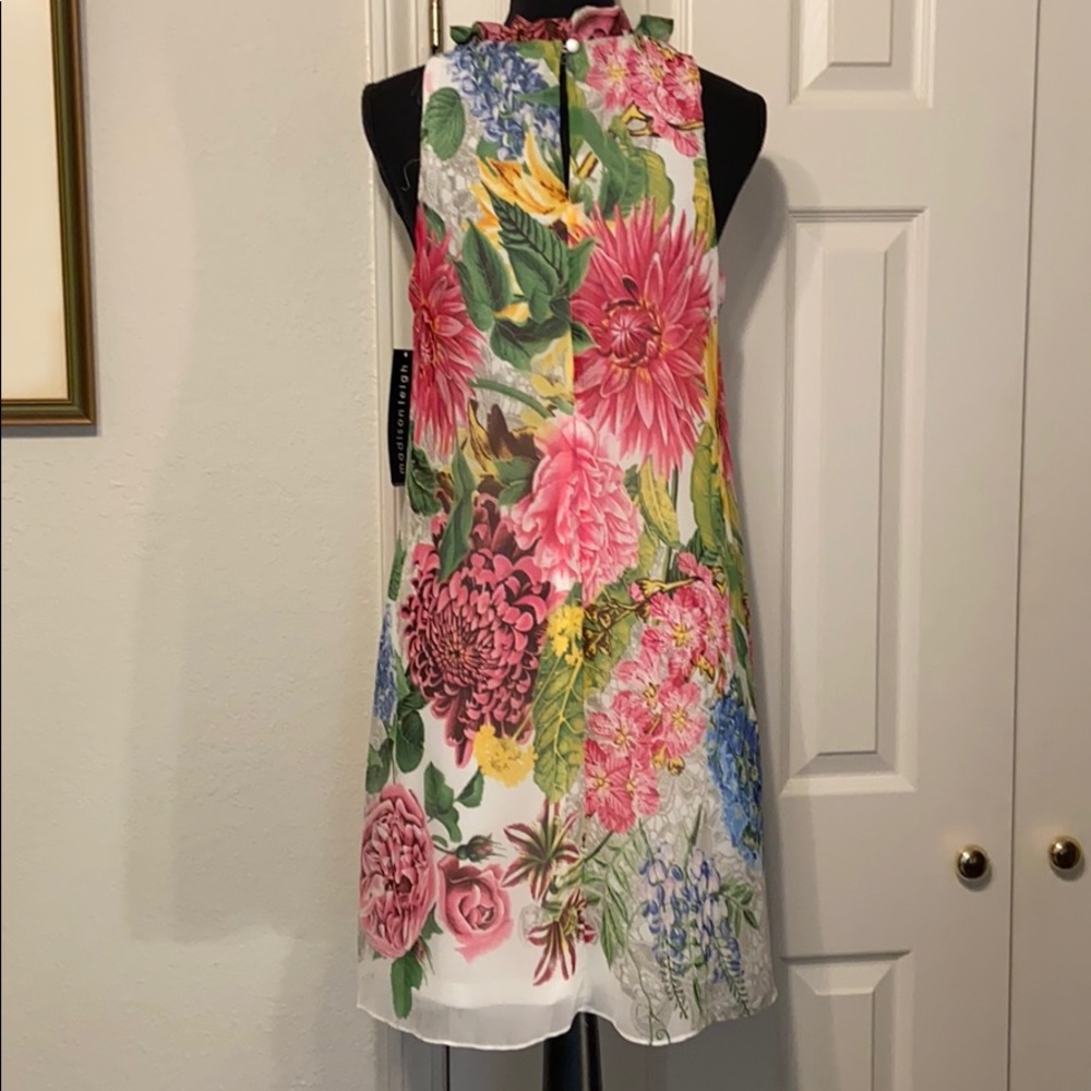 Madison Leigh dress - Picture 2 of 5